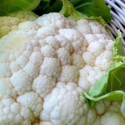 Ziedkāposti SV 5777 AC F1 2500 gab Seminis